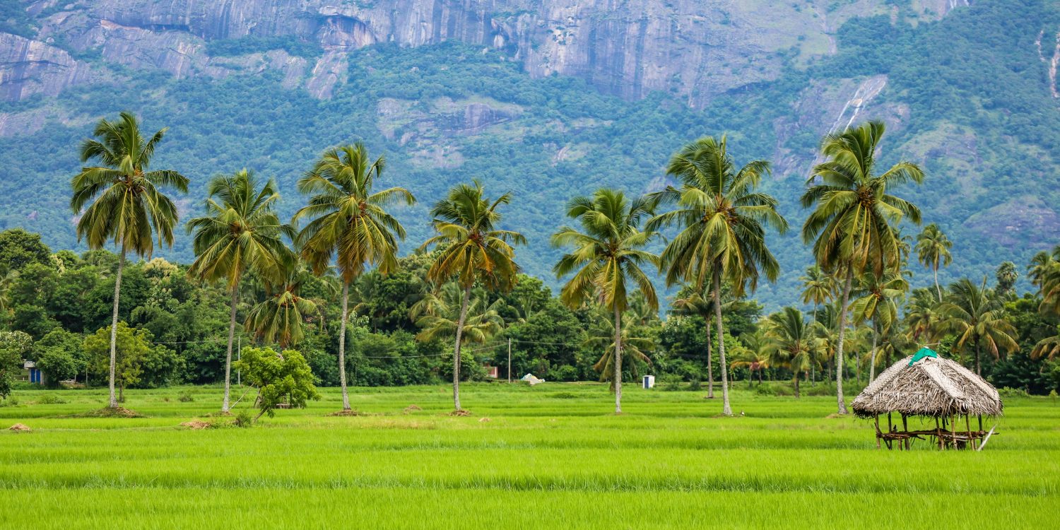 sreehari-devadas-Asnwfq5mQ3w-unsplash